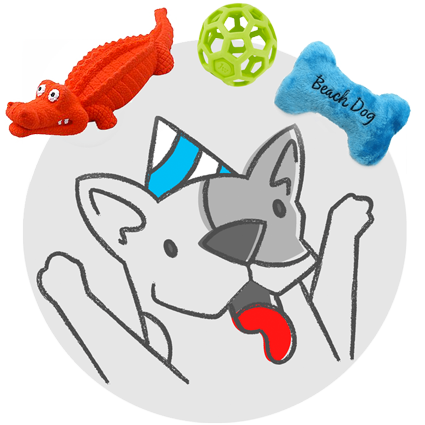 Dog Toys
